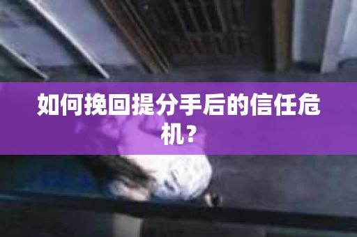如何挽回提分手后的信任危机？