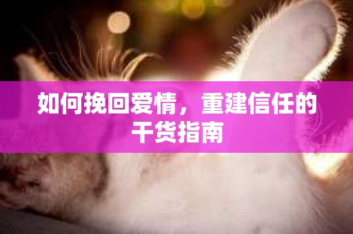 如何挽回爱情，重建信任的干货指南