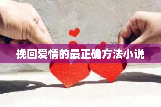 挽回爱情的最正确方法小说
