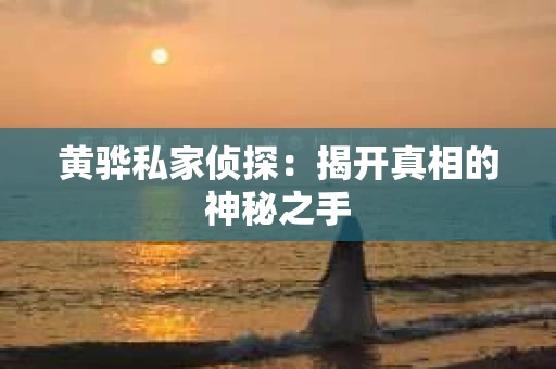 黄骅私家侦探：揭开真相的神秘之手
