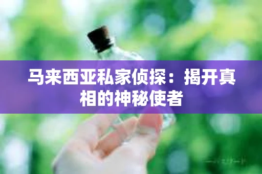 马来西亚私家侦探：揭开真相的神秘使者
