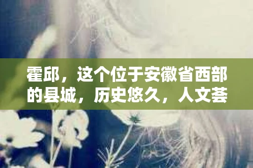 霍邱，这个位于安徽省西部的县城，历史悠久，人文荟萃。在这里，你是否也曾有过这样的疑问：“霍邱有私家侦探吗？”今天，就让我带你一探究竟。