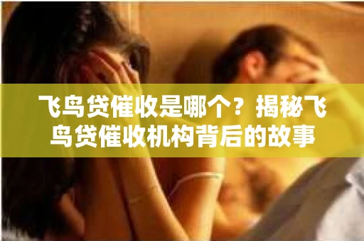 飞鸟贷催收是哪个？揭秘飞鸟贷催收机构背后的故事
