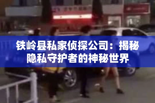 铁岭县私家侦探公司：揭秘隐私守护者的神秘世界