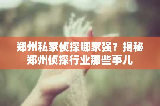 郑州私家侦探哪家强？揭秘郑州侦探行业那些事儿