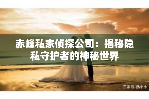 赤峰私家侦探公司：揭秘隐私守护者的神秘世界