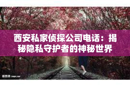 西安私家侦探公司电话：揭秘隐私守护者的神秘世界