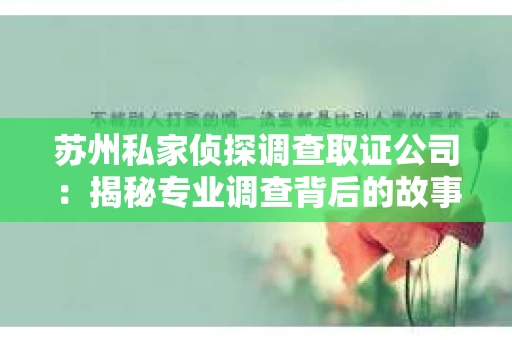 苏州私家侦探调查取证公司：揭秘专业调查背后的故事