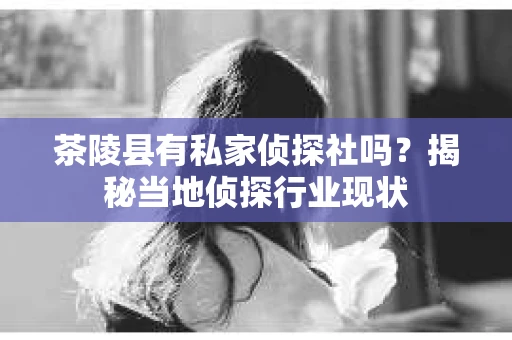 茶陵县有私家侦探社吗？揭秘当地侦探行业现状