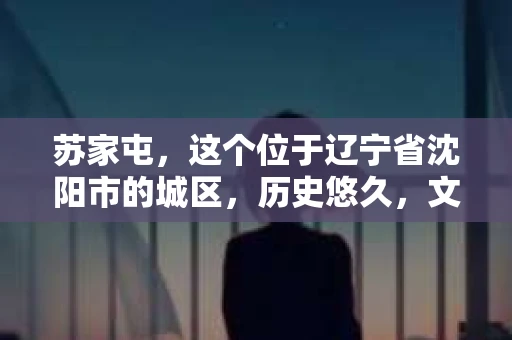 苏家屯，这个位于辽宁省沈阳市的城区，历史悠久，文化底蕴深厚。近年来，随着社会的发展，人们对于私家侦探的需求也逐渐增加。那么，苏家屯有私家侦探吗？今天，我们就来聊聊这个话题。