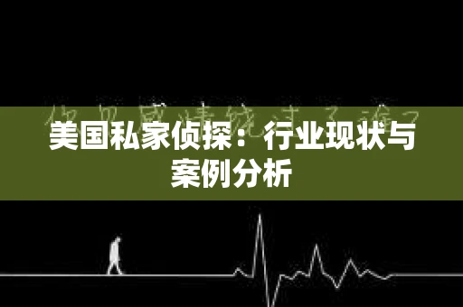 美国私家侦探：行业现状与案例分析