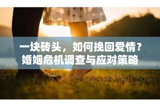 一块砖头，如何挽回爱情？婚姻危机调查与应对策略