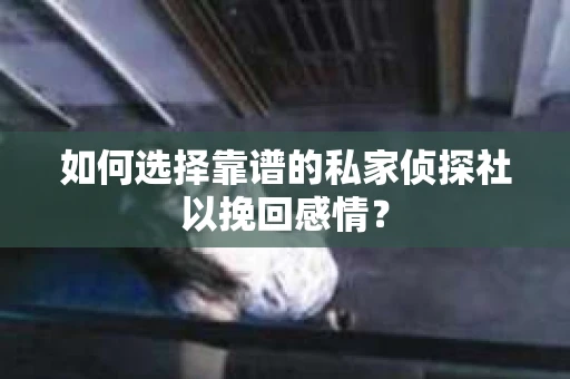 如何选择靠谱的私家侦探社以挽回感情？