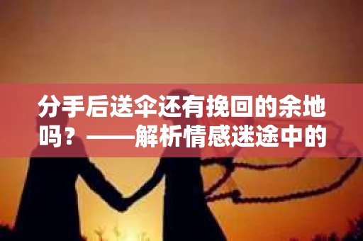 分手后送伞还有挽回的余地吗？——解析情感迷途中的决策