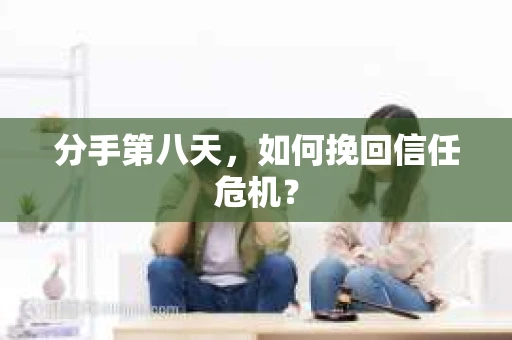 分手第八天，如何挽回信任危机？