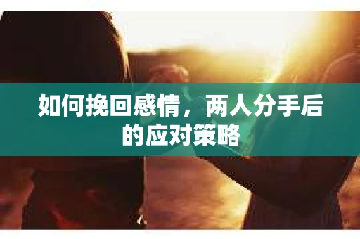 如何挽回感情，两人分手后的应对策略